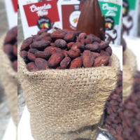 Dry Cocoa Beans