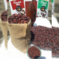 Dry Cocoa Beans