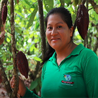 Cacao
