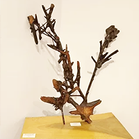 Wood Sculpture