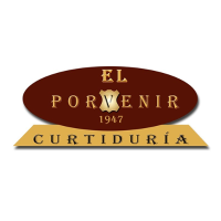 CURTIDURIA EL PORVENIR S.A. 