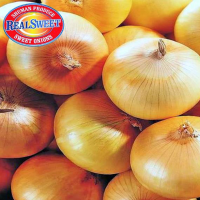 Sweet Yellow Onion in Boxes of 18.5kg