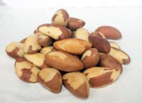 Amazon Nut