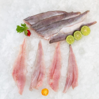 Hake (Merluccius gayi peruanus)