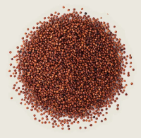 Red Quinoa