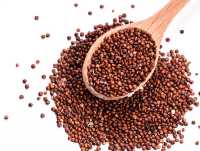 Red Quinoa