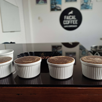 Processed coffee tests