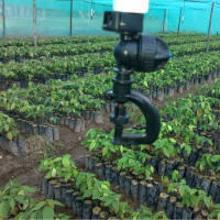 Plant Cultivation Process