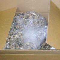 Pijuayo Seed High in Dietary Fiber and Vegetable Protein - Bag of 5 Kilos 3