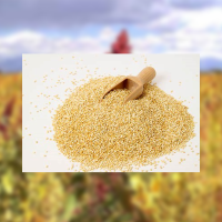 white quinoa wholesale