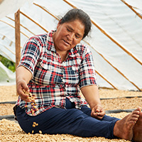Female Farmer Roasting the Coffee Bean