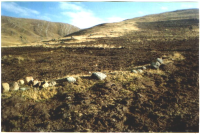 Maca land