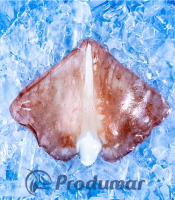 Frozen Giant Squid Wings - Raw  (Dosidicus gigas)