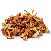 Dehydrated Boletus Luteus Mushroom. 15 kg. Agritrade