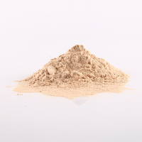 Lucuma Powder 20kg Agritrade