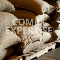 comex expertise