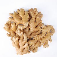 Organic Ginger
