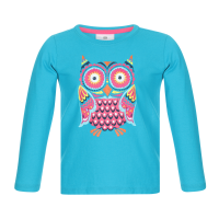Graphic Long Sleeve Tee Shirt