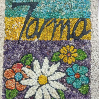 Picture with dried flowers