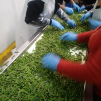 Processing and selection