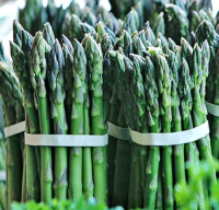 Highly natural asparagus with exportation quality 