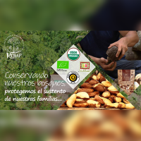Recolectores Orgánicos de la Nuez Amazónica del Perú.