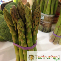 Fresh Green Asparagus
