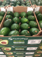 Fresh Avocados
