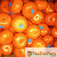 W. Murcott Fresh Tangerine 