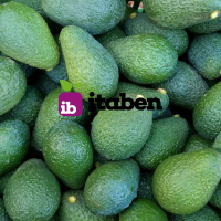 Hass Avocado