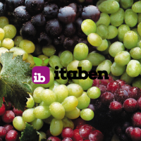 Red Globe Grapes