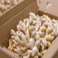 Fresh Ginger 