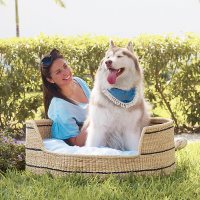 Bed Dulcesueños for Pets
