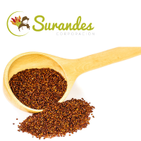 Red Quinoa