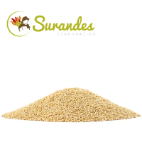 White Quinoa