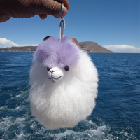 Alpaca Head Keychain