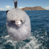Alpaca Head Keychain