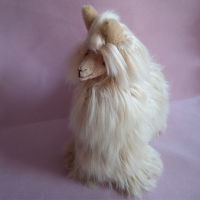 Alpaca Suri