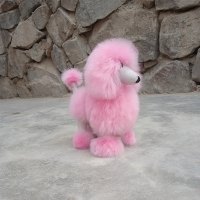 Poodle Dog