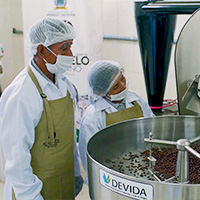 Process of Elaboration of Coffee in the Factory