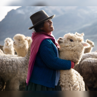 Mama Nancy - breeder of alpacas our important natural resource