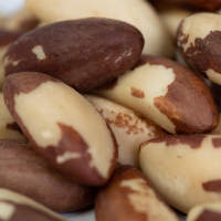 Brazil nut type medium