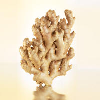 Organic Yellow Ginger