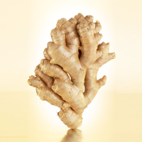 Organic Yellow Ginger