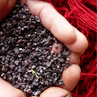 Dry Cochineal