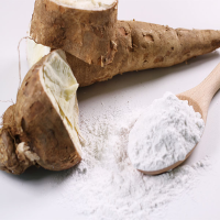 Peeled Yucca Powder Dehydrated