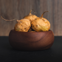 MACA