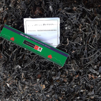 Macrocystis Integrifolia Dry Seaweed