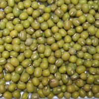 Dry Green Mung Beans