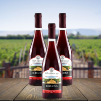 Semi Seco Borgoña wine 